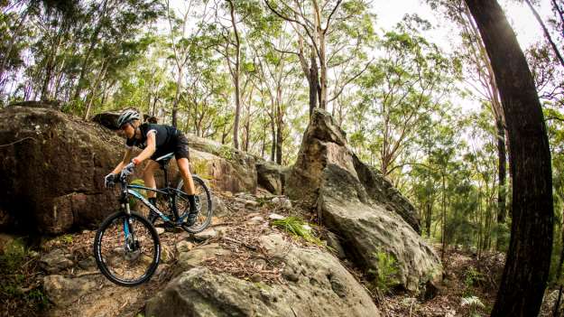 Hornsby. Photo: Tim Bardsley-Smith