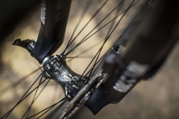 Straight pull spokes and highly polished hub shells.