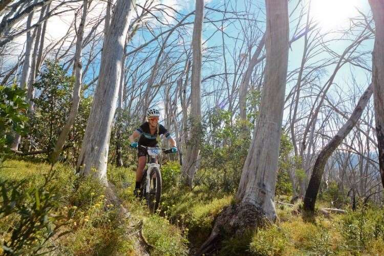 Racing through the snow gums and the wild flowers. Photo (c) Mandy Lamont-2