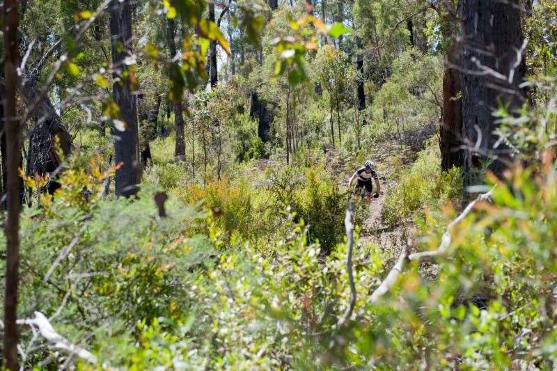 Killer trails in Kellevie.