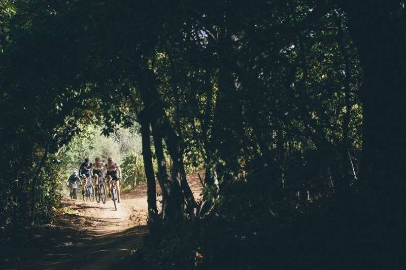 Riders enroute to Meerendal during the final stage (stage 7) of the 2016 Absa Cape Epic Mountain Bike stage race from Boschendal in Stellenbosch to Meerendal Wine Estate in Durbanville, South Africa on the 20th March 2016 Photo by Ewald Sadie/Cape Epic/SPORTZPICS 