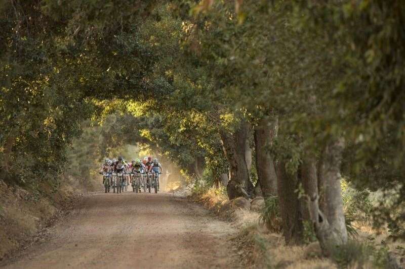 The ladies peloton during stage 1 of the 2016 Absa Cape Epic Mountain Bike stage race held from Saronsberg Wine Estate in Tulbagh, South Africa on the 14th March 2016 Photo by Sam Clark/Cape Epic/SPORTZPICS 