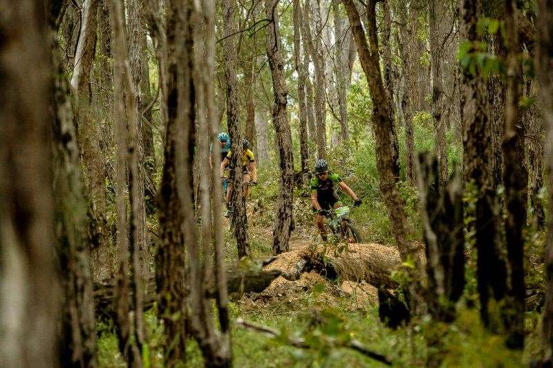 Cape to Cape MTB. Photo: Mick Ross