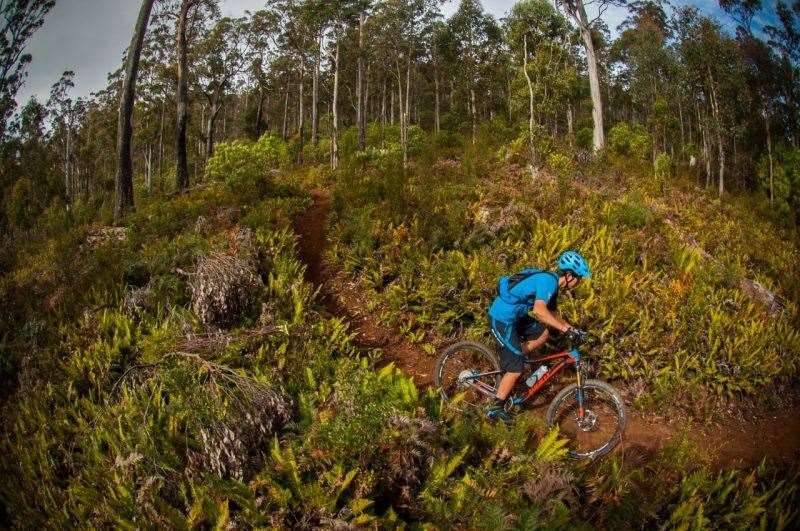 Tasmania Shimano Adventure road trip. Photo: Damian Breach