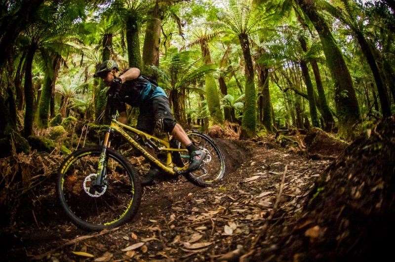 Tasmania Shimano Adventure road trip. Photo: Damian Breach