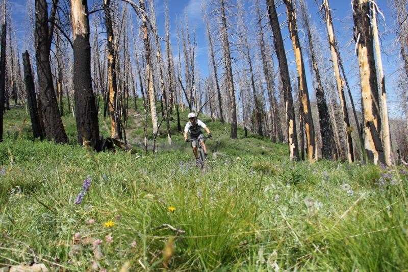 Idaho White Clouds MTB