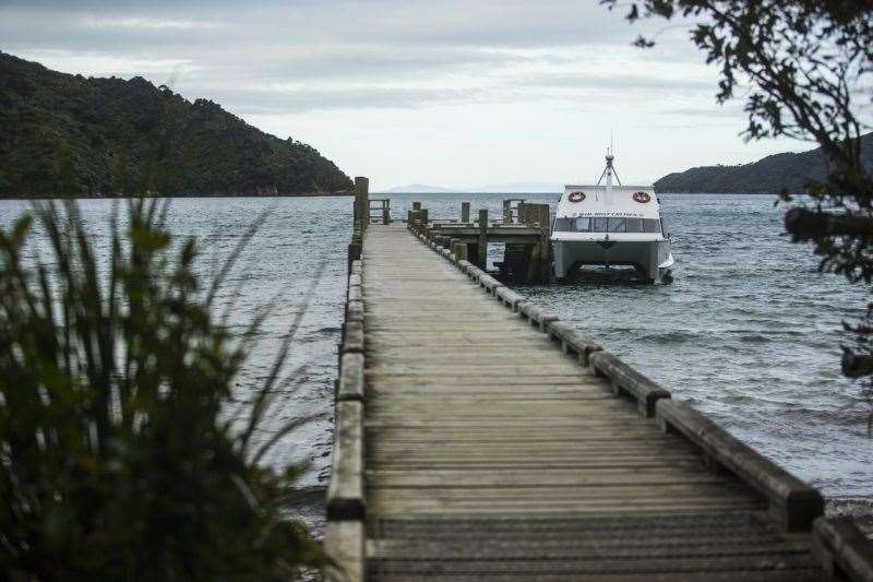 Queen Charlotte Track New Zealand