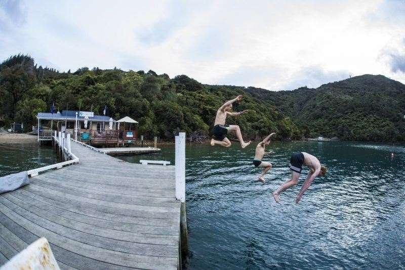 Queen Charlotte Track New Zealand