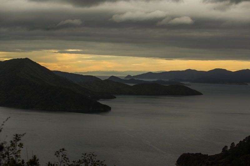 Queen Charlotte Track New Zealand