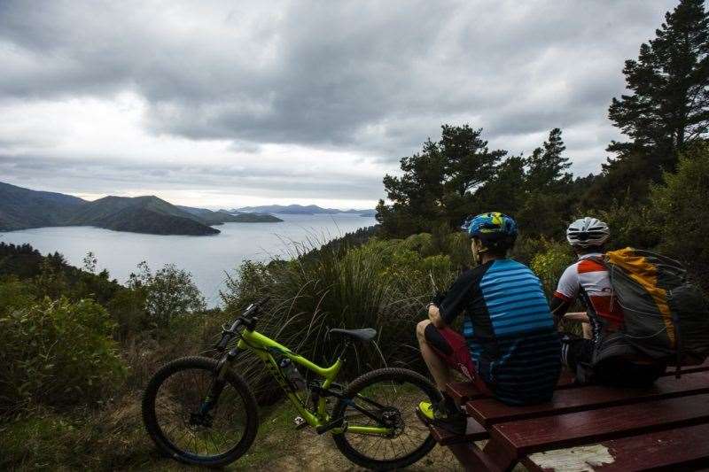 Queen Charlotte Track New Zealand