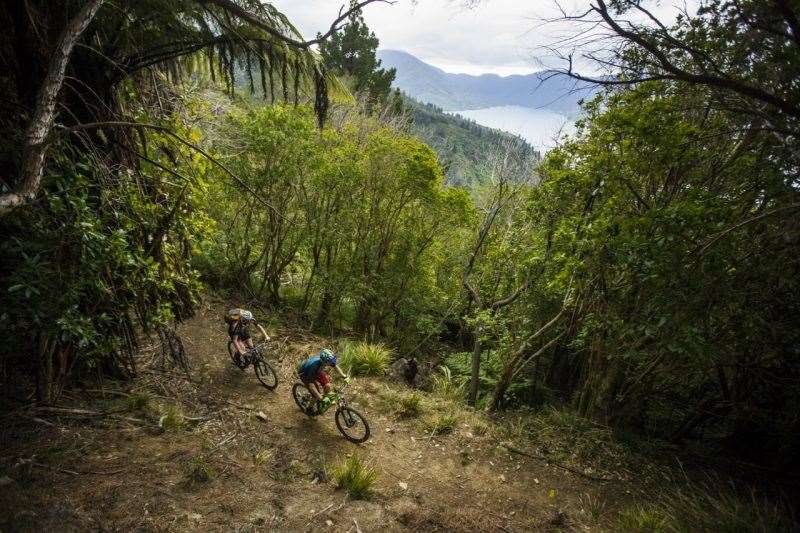 Queen Charlotte Track New Zealand