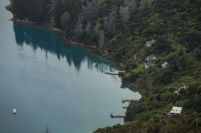 Queen Charlotte Track New Zealand