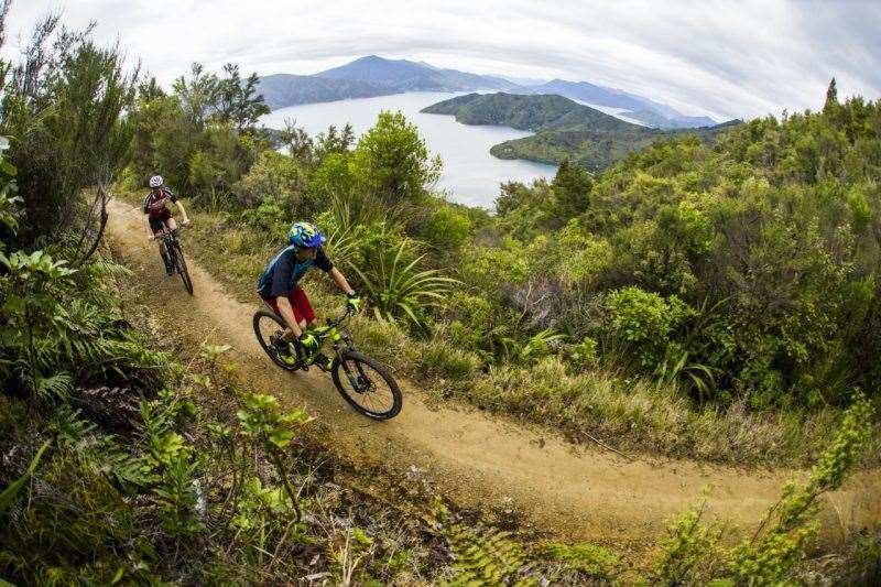 Queen Charlotte Track New Zealand