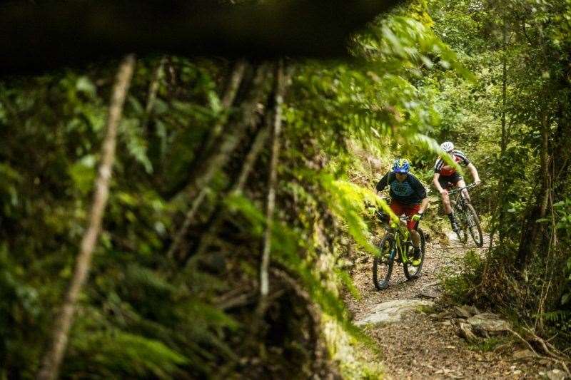 Queen Charlotte Track New Zealand