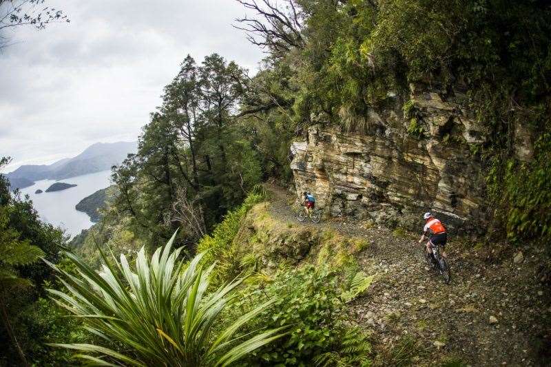 Queen Charlotte Track New Zealand