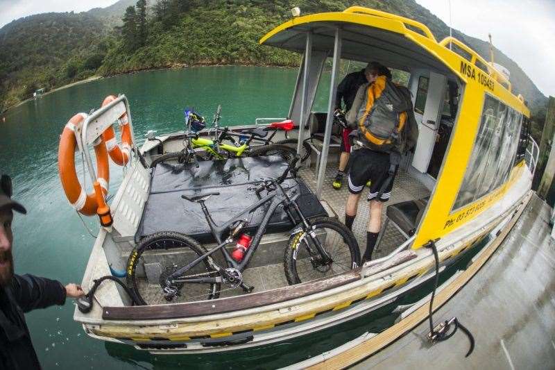 Queen Charlotte Track New Zealand