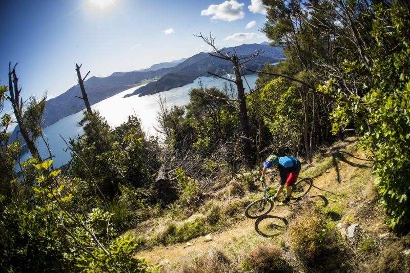 Queen Charlotte Track New Zealand