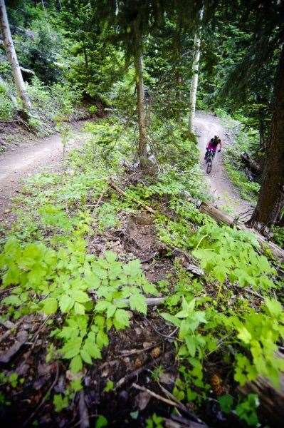 Park City MTB