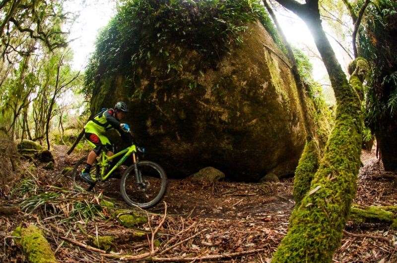 Atlas Trail Derby Tasmania AMB