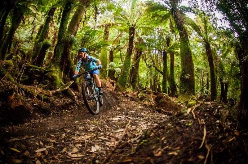 Atlas Trail Derby Tasmania AMB