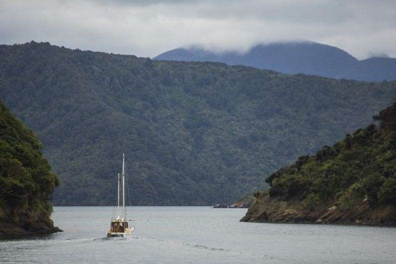 New Zealand Marlborough Nelson Tasman MTB