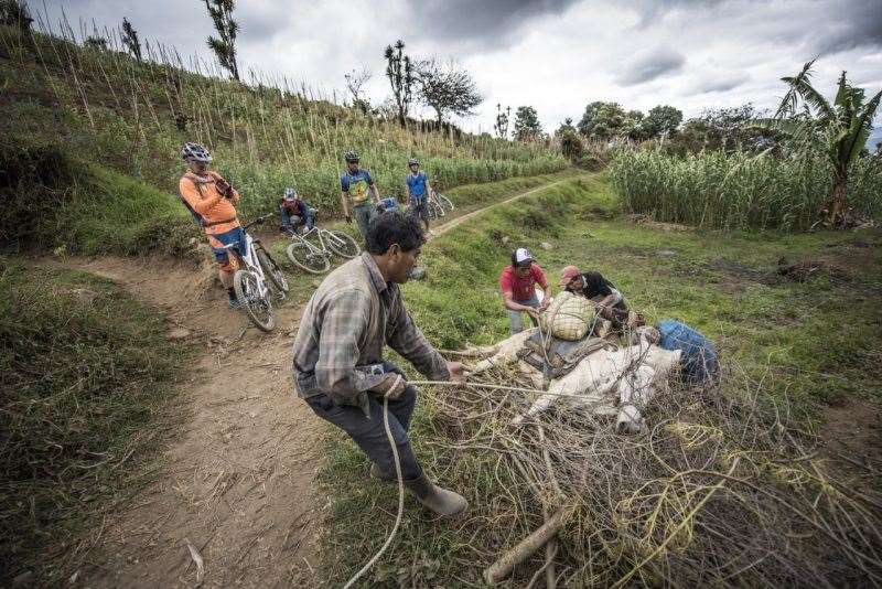 Guatemala MTB Hans Rey