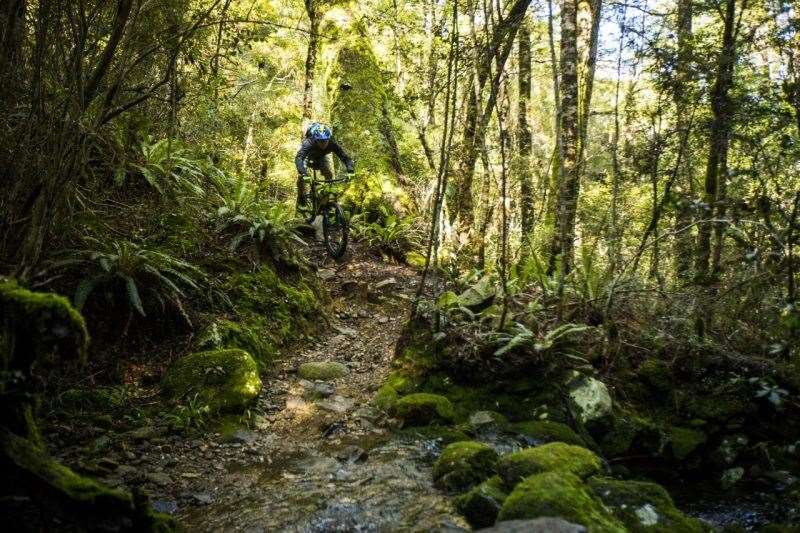 New Zealand Marlborough Nelson Tasman MTB