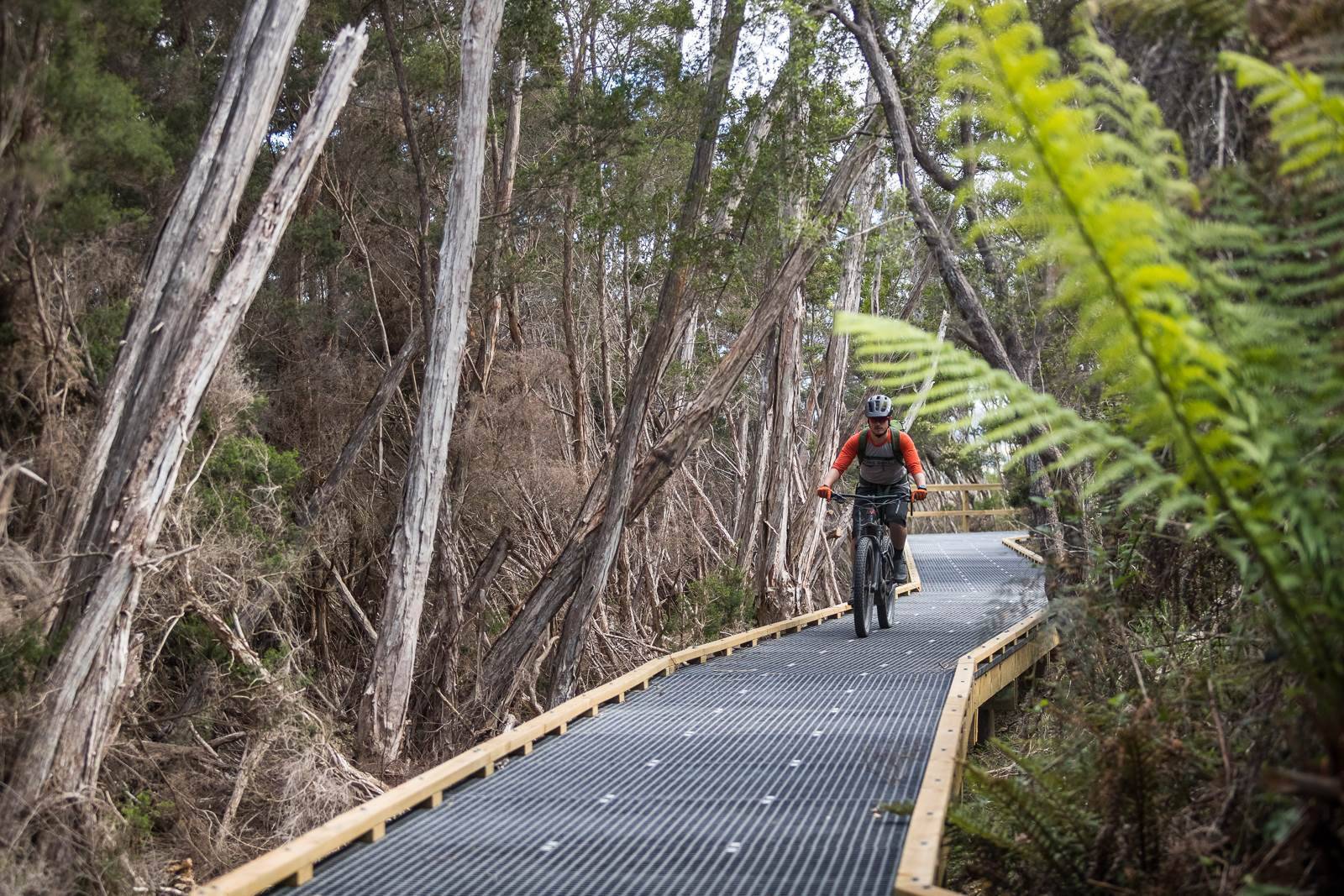 The Town Link trail is 3.8km of mixed grates and single track that takes you from town right to the trailhead. 