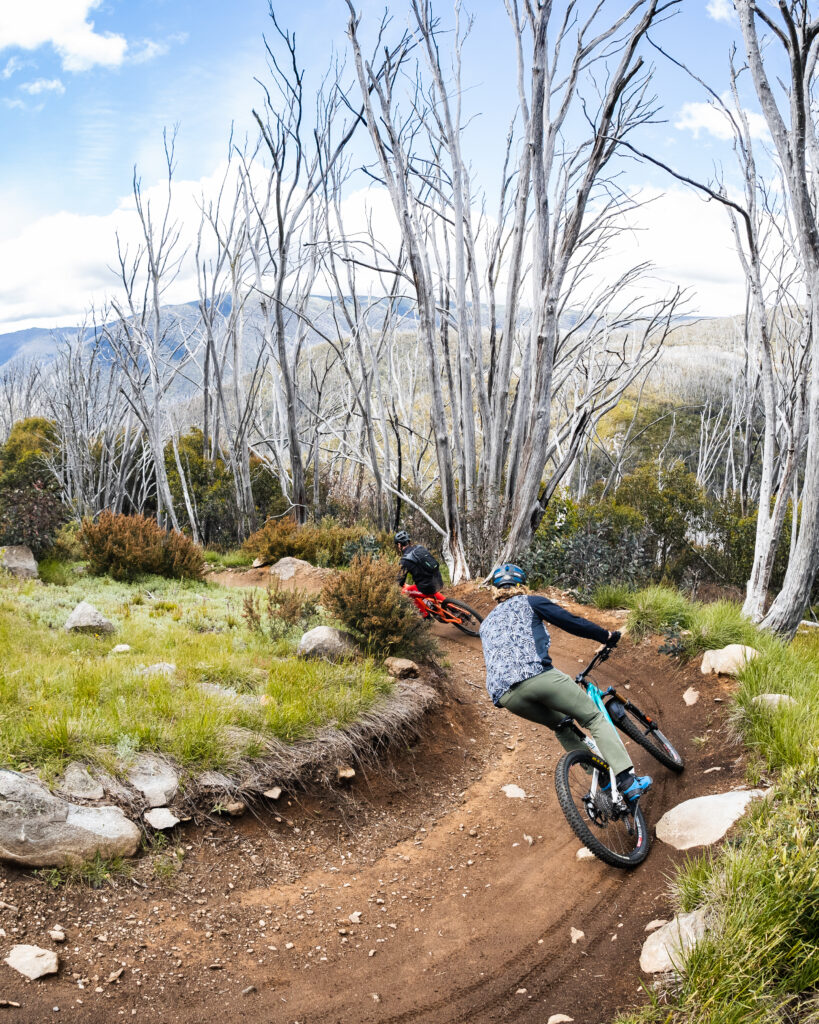 best cycling trips australia