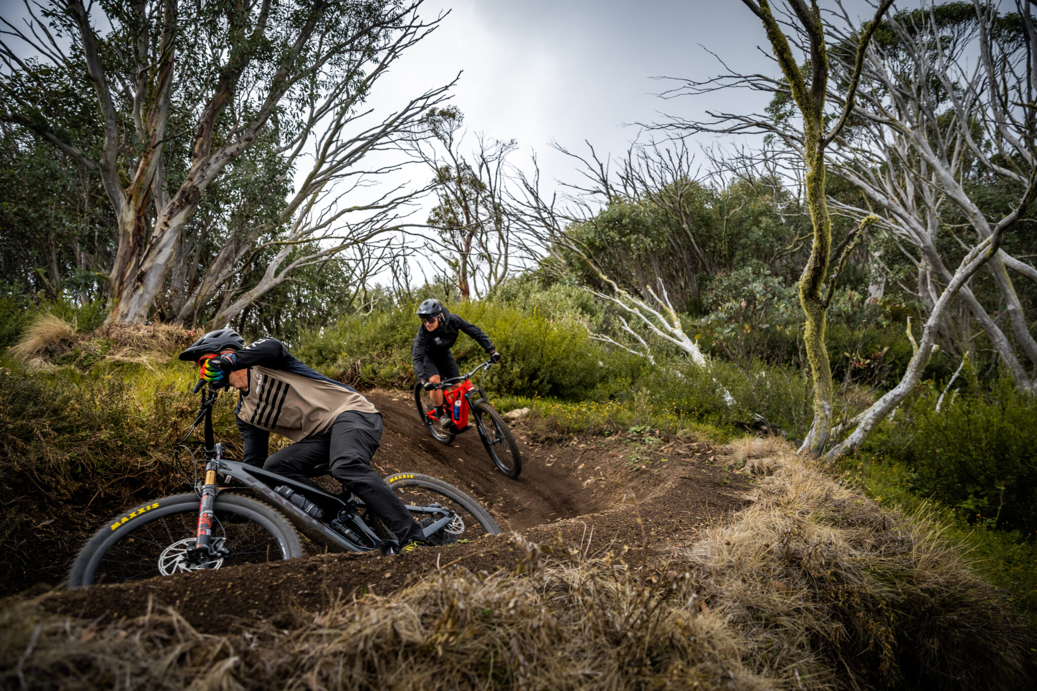 Mt Buller Mountain bike parks