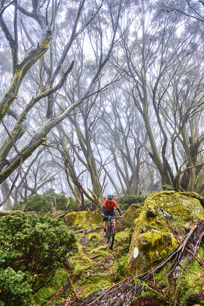 bike tours queensland australia